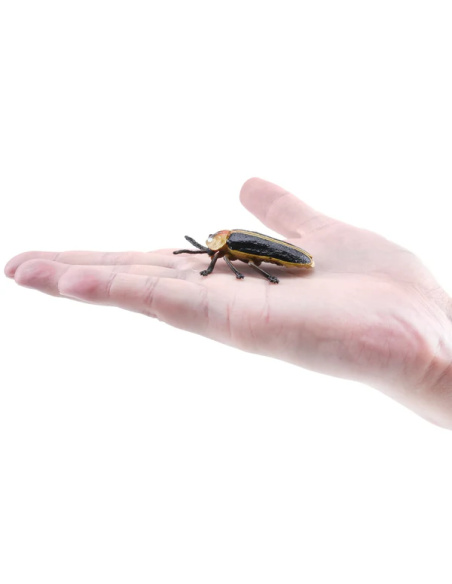 Figurine Insecte Luciole lumineuse - ToyMany ML00426