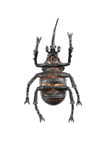 Figurine Insecte Dynaste Hercule géant - ToyMany ML00427