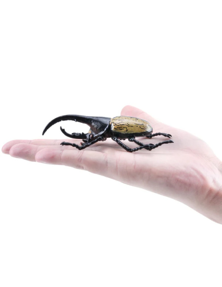Figurine Insecte Dynaste Hercule géant - ToyMany ML00427