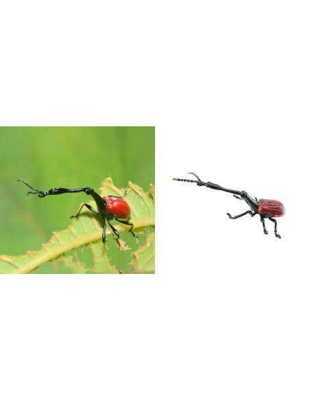 Figurine Insecte Charançon Girafe - ToyMany ML00428