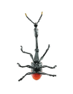 Figurine Insecte Charançon Girafe - ToyMany ML00428 2
