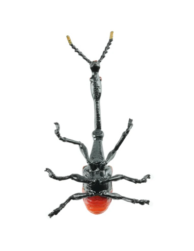 Figurine Insecte Charançon Girafe - ToyMany ML00428