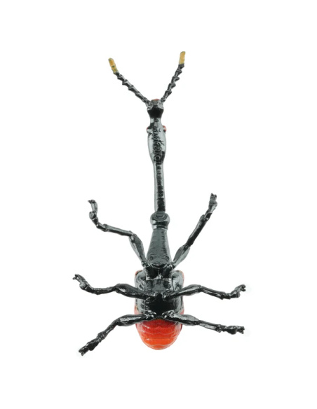 Figurine Insecte Charançon Girafe - ToyMany ML00428