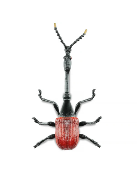 Figurine Insecte Charançon Girafe - ToyMany ML00428
