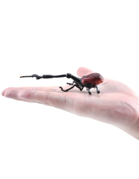 Figurine Insecte Charançon Girafe - ToyMany ML00428