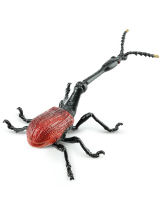 Figurine Insecte Charançon Girafe - ToyMany ML00428