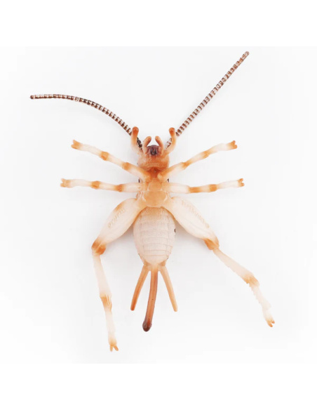 Figurine Insecte Grillon chanteur - ToyMany ML00429