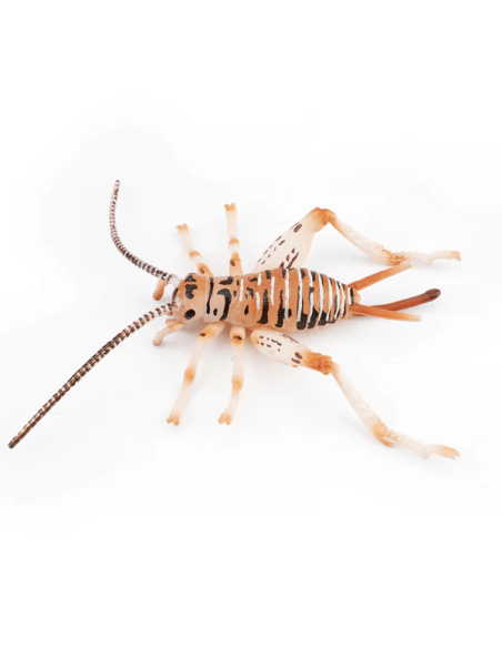 Figurine Insecte Grillon chanteur - ToyMany ML00429