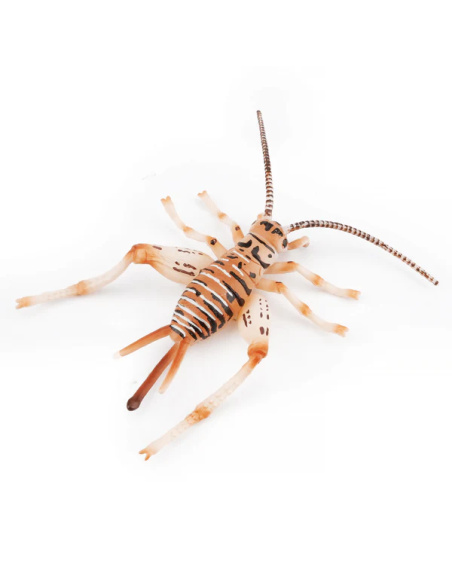 Figurine Insecte Grillon chanteur - ToyMany ML00429