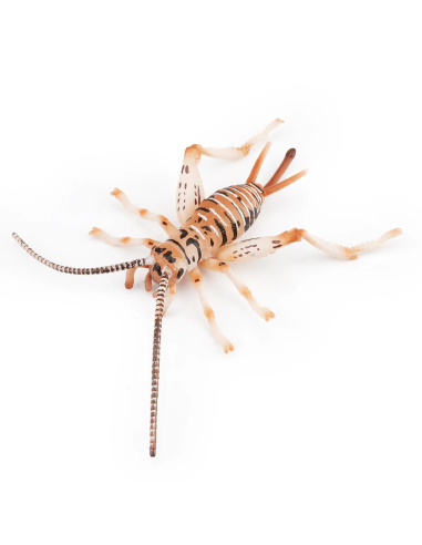 Figurine Insecte Grillon chanteur - ToyMany ML00429