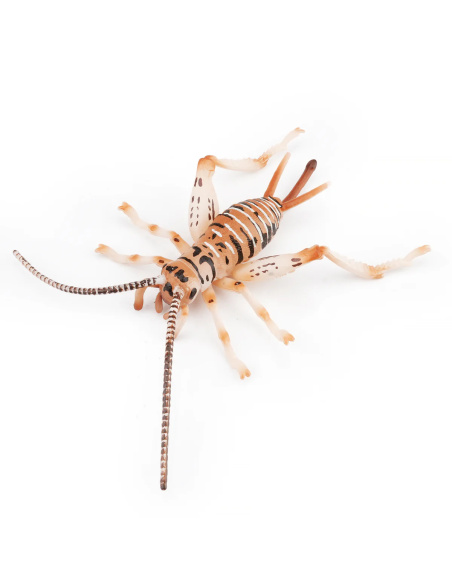Figurine Insecte Grillon chanteur - ToyMany ML00429