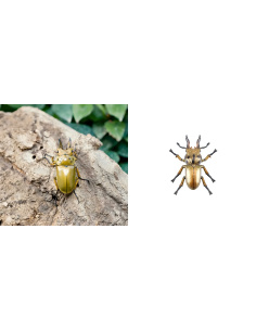 Figurine Insecte Lucane Doré métallisé - ToyMany ML00430 2