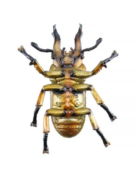 Figurine Insecte Lucane Doré métallisé - ToyMany ML00430