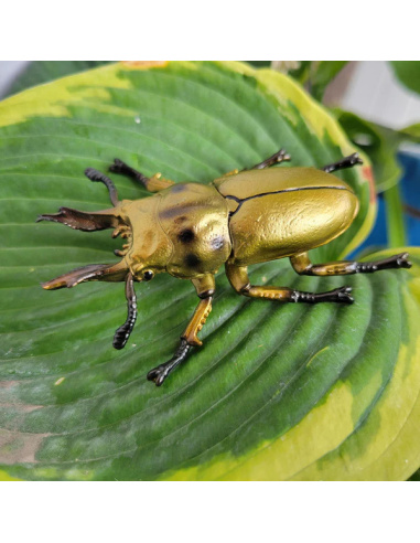 Figurine Insecte Lucane Doré métallisé - ToyMany ML00430