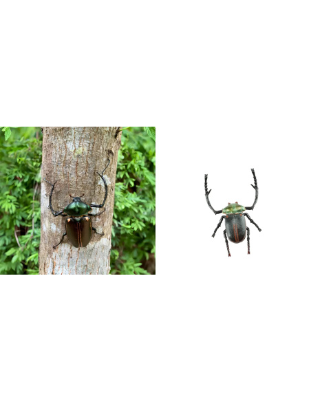 Figurine Insecte Cétoine de Janson - ToyMany ML00431