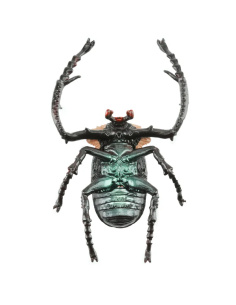 Figurine Insecte Cétoine de Janson - ToyMany ML00431 2