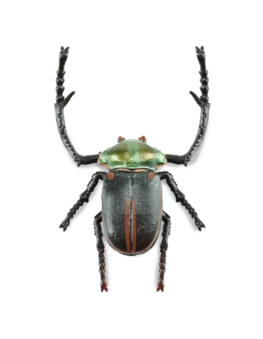Figurine Insecte Cétoine de Janson - ToyMany ML00431