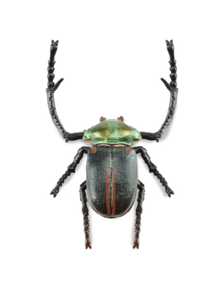 Figurine Insecte Cétoine de Janson - ToyMany ML00431