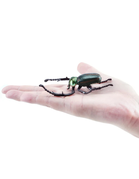 Figurine Insecte Cétoine de Janson - ToyMany ML00431