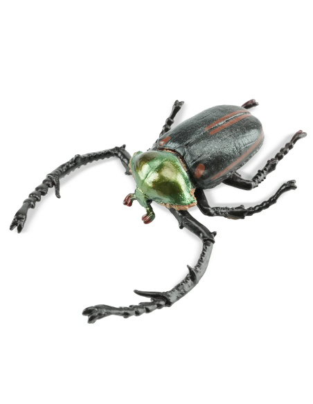 Figurine Insecte Cétoine de Janson - ToyMany ML00431