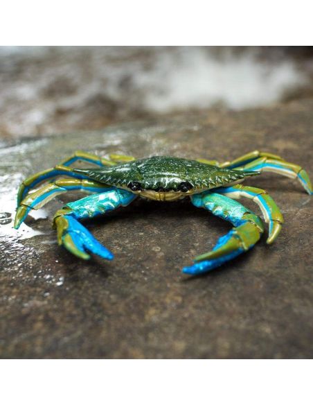 Figurine Crabe Bleu - Safari Ltd® 269729 | Jouet réaliste | Matériel pédagogiqueAnimaux Montessori