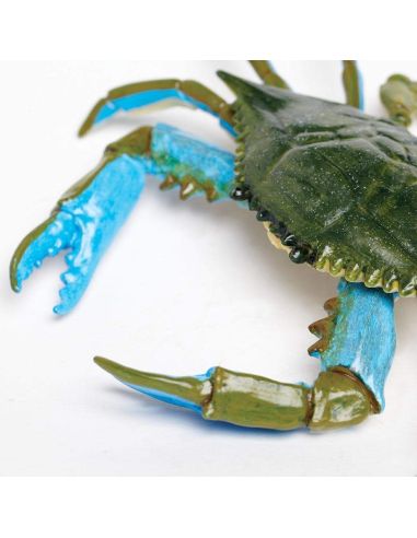 Figurine Crabe Bleu - Safari Ltd® 269729 | Jouet réaliste | Matériel pédagogiqueAnimaux Montessori