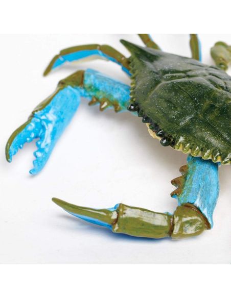 Figurine Crabe Bleu - Safari Ltd® 269729 | Jouet réaliste | Matériel pédagogiqueAnimaux Montessori