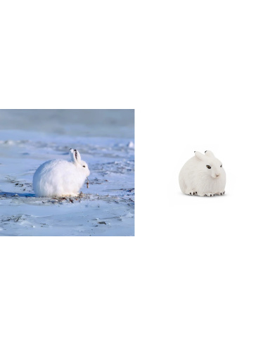 Lièvre arctique Toymany – Figurine animal polaire