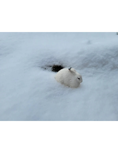 Lièvre arctique Toymany – Figurine animal polaire