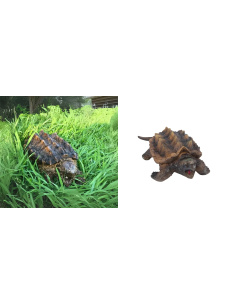 Tortue alligator Toymany – Petite figurine tortue 2
