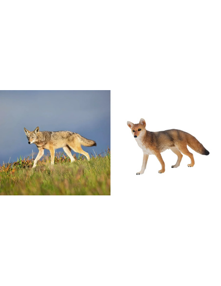 Coyote Toymany – Petite figurine canidé sauvage