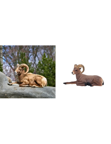 Petite figurine mouflon canadien ToyMany | Couché, 6,7 cm