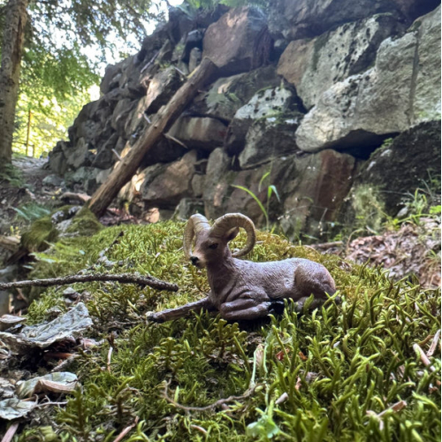 Petite figurine mouflon canadien ToyMany | Couché, 6,7 cm 2