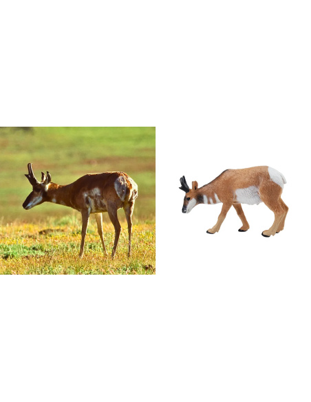 Petite figurine antilope d'Amérique ToyMany | Pronghorn