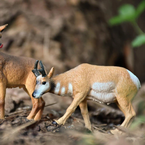 Petite figurine antilope d'Amérique ToyMany | Pronghorn 2