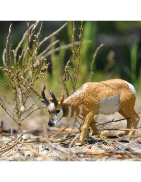 Petite figurine antilope d'Amérique ToyMany | Pronghorn