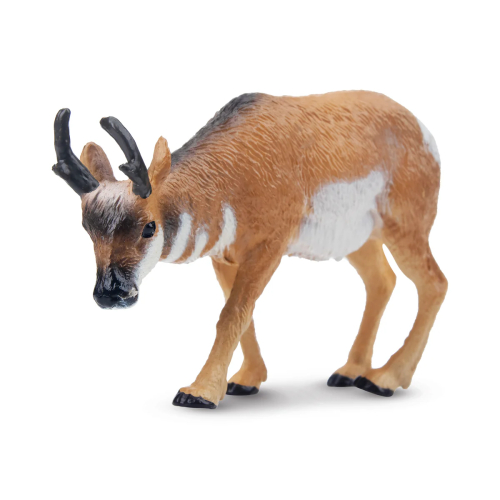 Petite figurine antilope d'Amérique ToyMany | Pronghorn