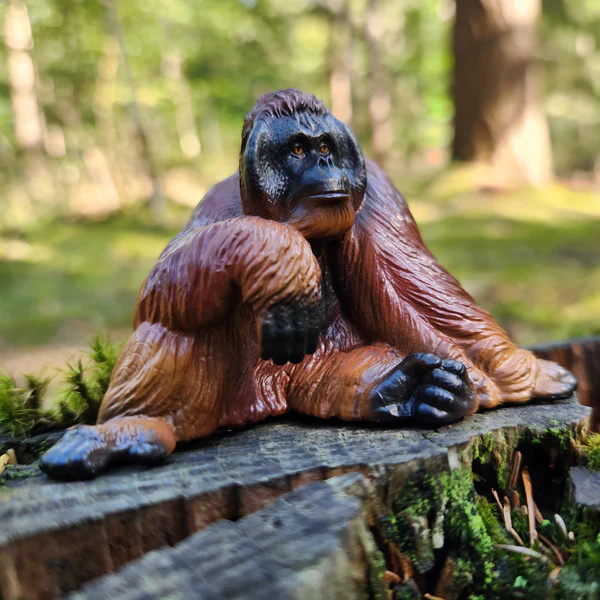 Orang-outan de Sumatra Toymany – Figurine primate