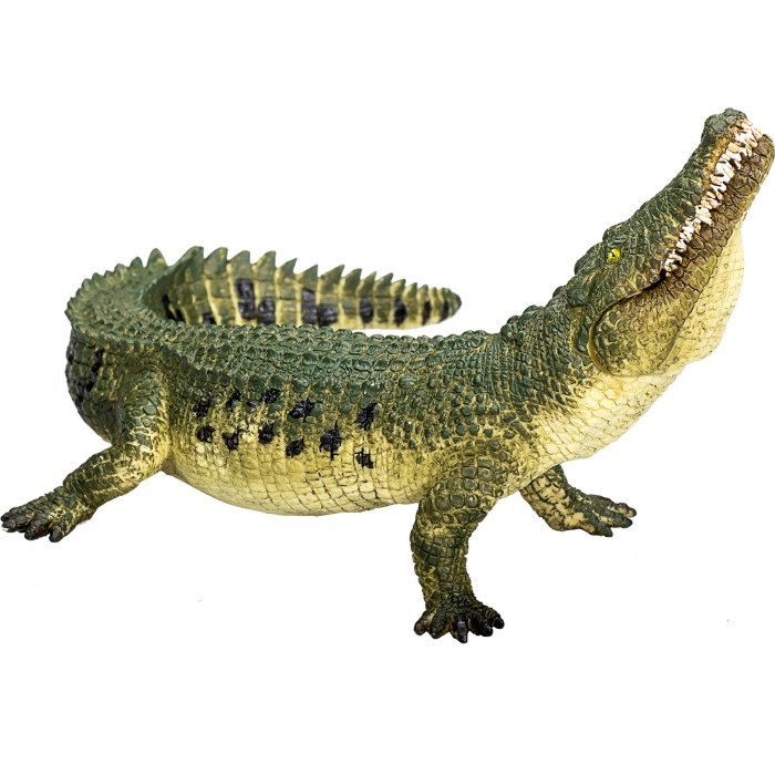 Figurine Crocodile à mâchoire mobile - Mojo 387162 | Matériel pédagogique | Enrichissement Montessori | Jouet