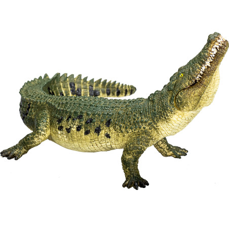 Figurine Crocodile à mâchoire mobile - Mojo 387162 | Matériel pédagogique | Enrichissement Montessori | Jouet