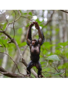 Chimpanzé Toymany – Figurine grand singe sauvage 2