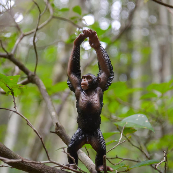 Chimpanzé Toymany – Figurine grand singe sauvage