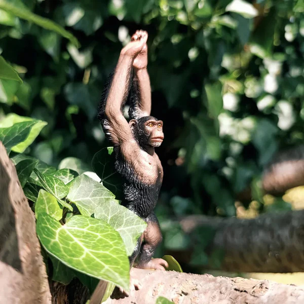 Chimpanzé Toymany – Figurine grand singe sauvage