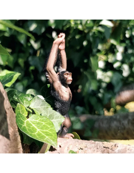 Chimpanzé Toymany – Figurine grand singe sauvage