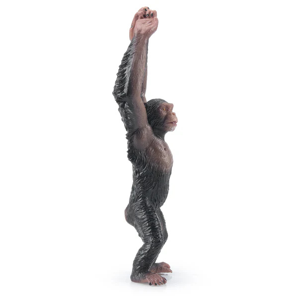 Chimpanzé Toymany – Figurine grand singe sauvage