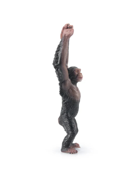 Chimpanzé Toymany – Figurine grand singe sauvage