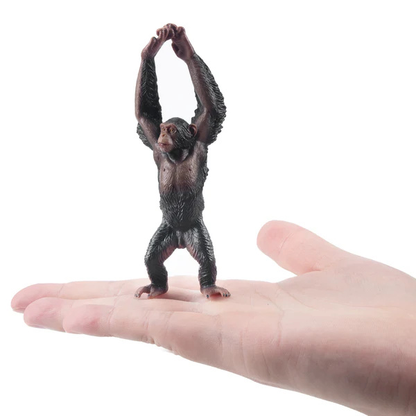 Chimpanzé Toymany – Figurine grand singe sauvage