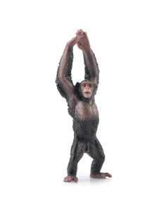 Chimpanzé Toymany – Figurine grand singe sauvage