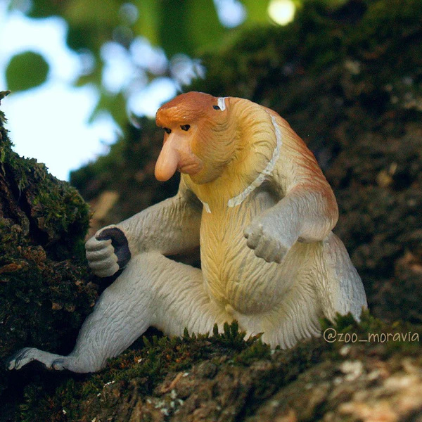 Nasique Toymany – Figurine singe de Bornéo