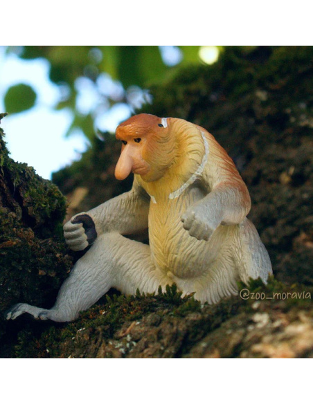 Nasique Toymany – Figurine singe de Bornéo